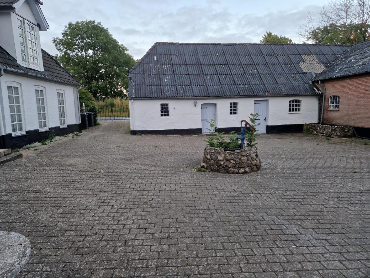 Trandafir Guesthouse Egtved Eksteriør bilde