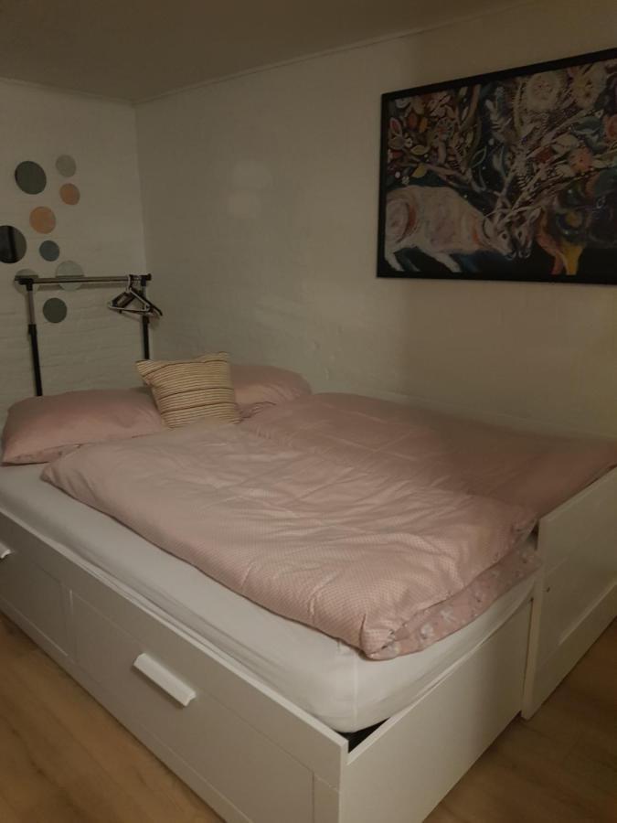 Trandafir Guesthouse Egtved Eksteriør bilde