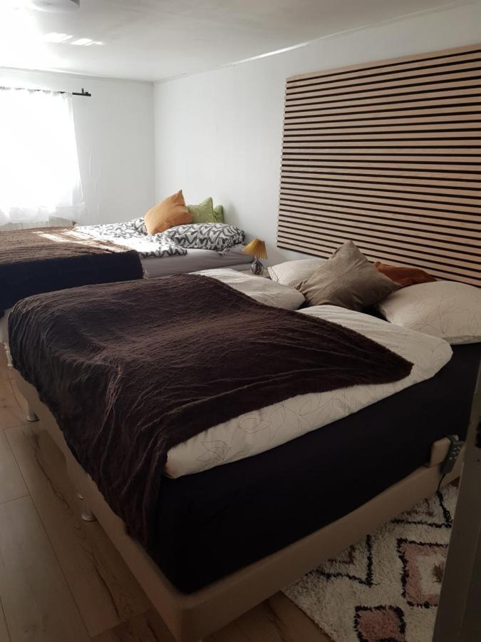 Trandafir Guesthouse Egtved Eksteriør bilde